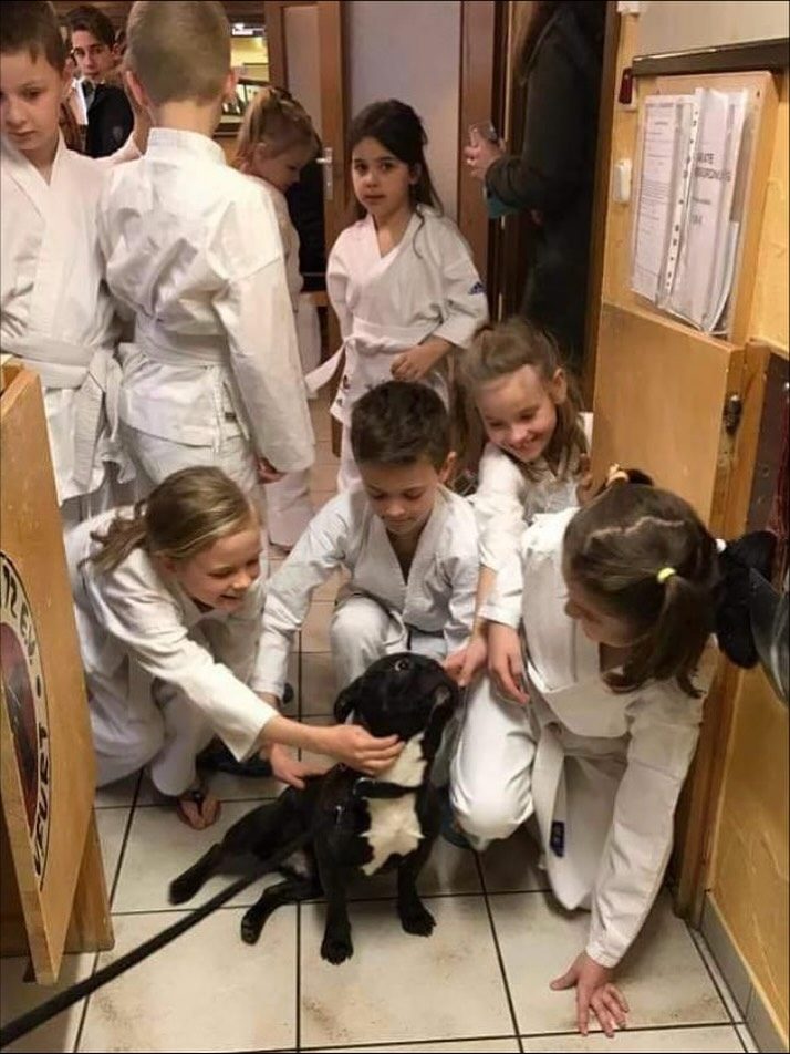 Instagram post from budokan72e.v.sw. This post is in position 0.