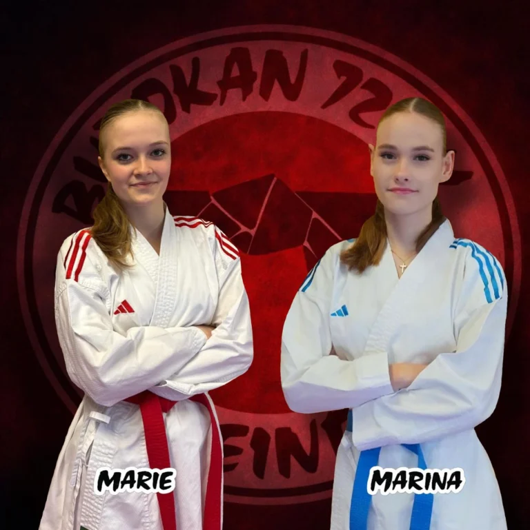 Instagram post from budokan72e.v.sw. This post is in position 2.